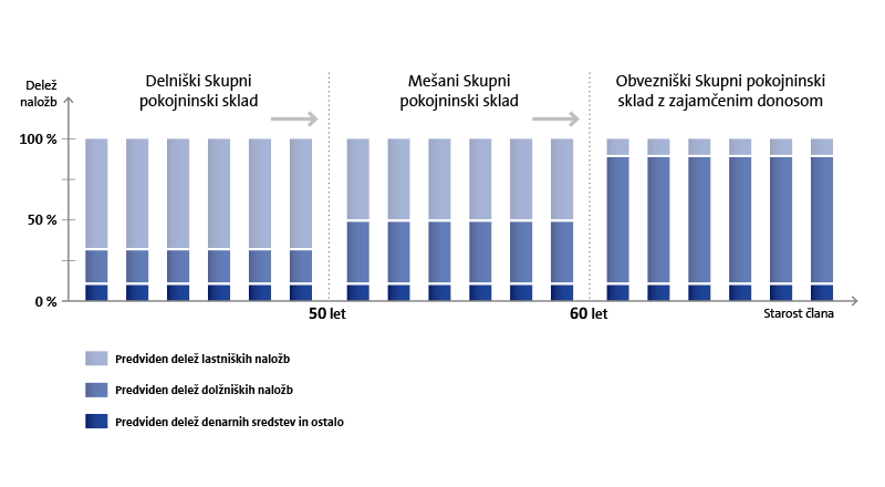 Naložbena politika življenskega cikla